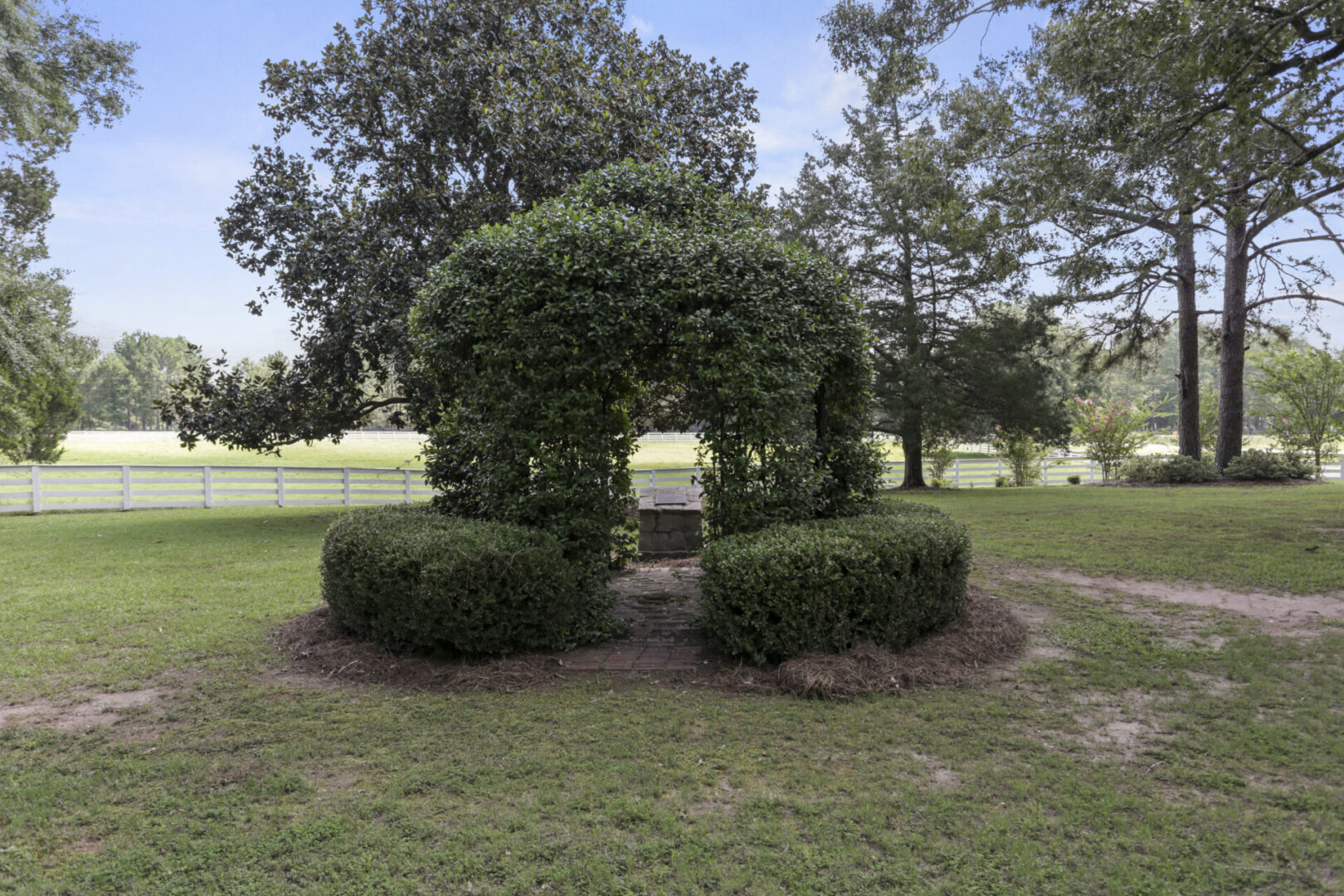 Tree archway for romantic photoshoot, events venue at Serenata Farm in Madison, GA