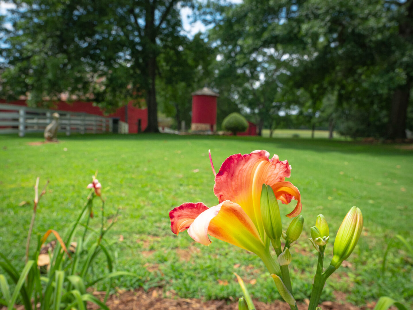 Flowers and yard in events venue at Serenata Farm in Madison, GA