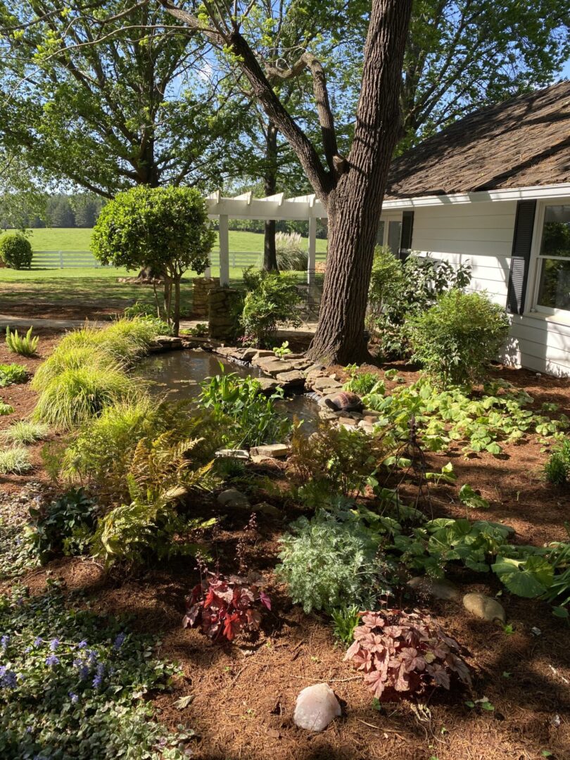 outdoor garden with small pond, Serenata Farm in Madison, GA